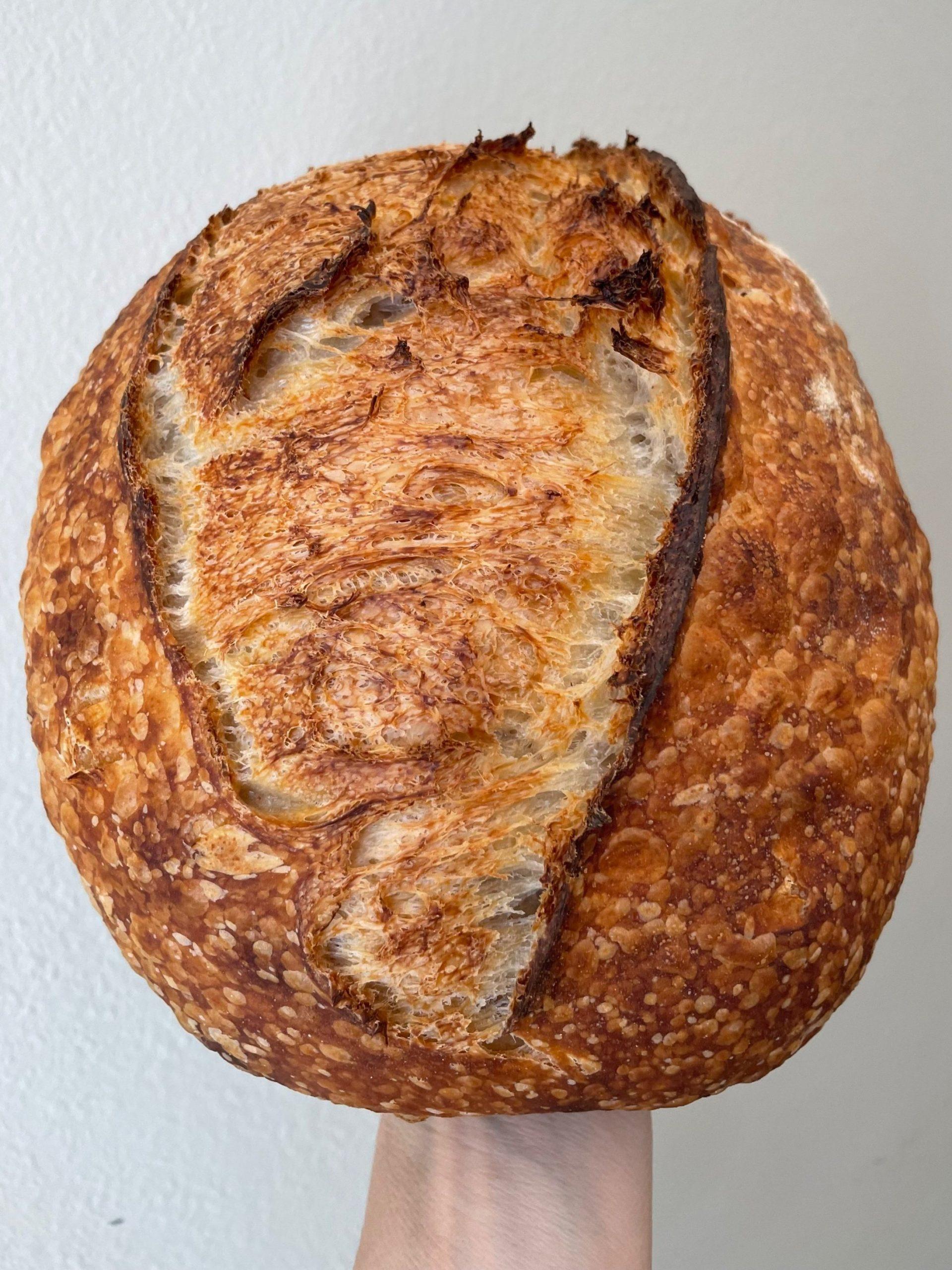 Bread Club: Coyote Sourdough